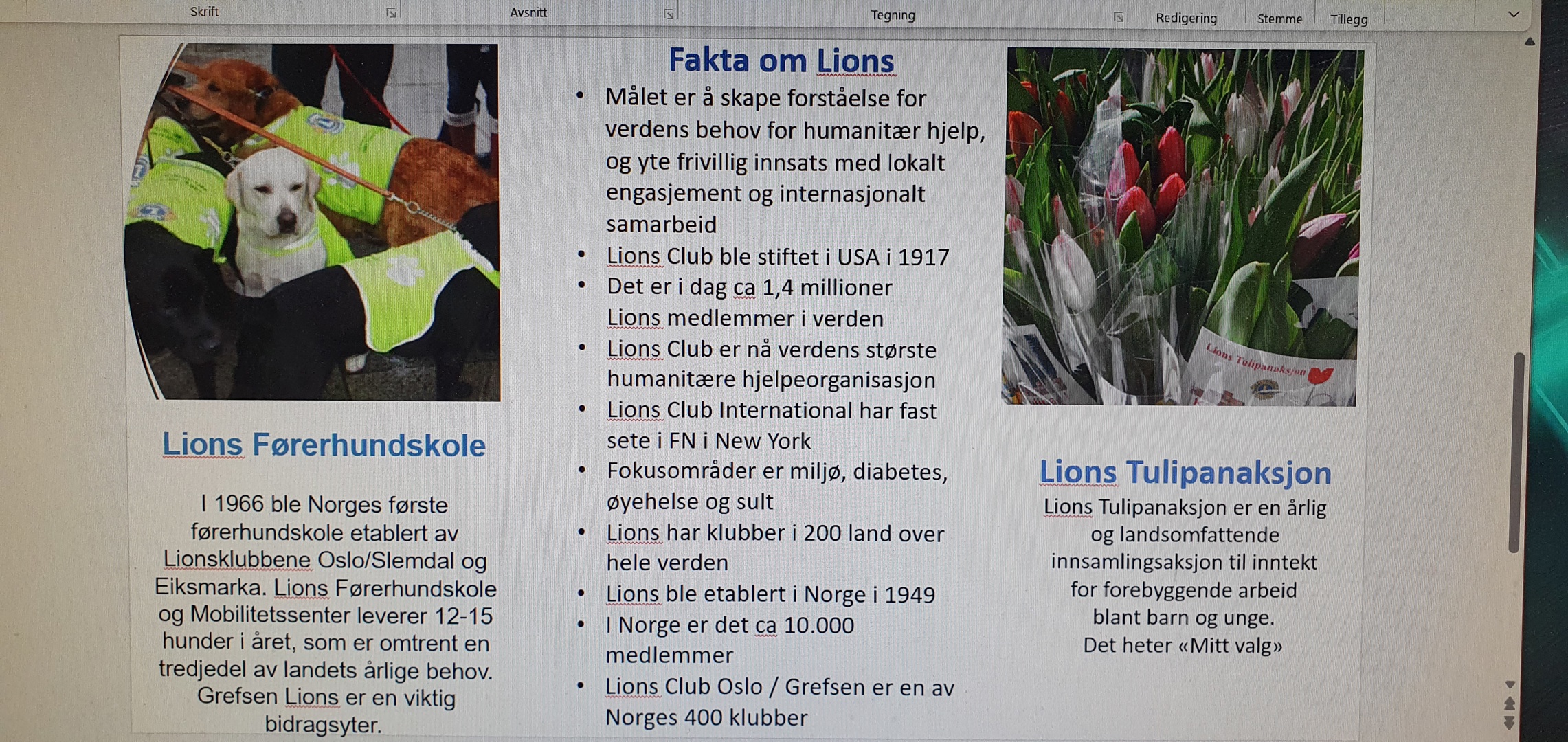 Grefsen Lions aktiviteter.